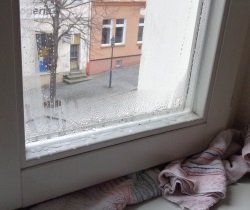 Richtig lüften, Feuchtigkeit an Fensterrahmen aufgrund hoher Luftfeuchtigkeit Energieberater Hof Erlangen Nürnberg Selb